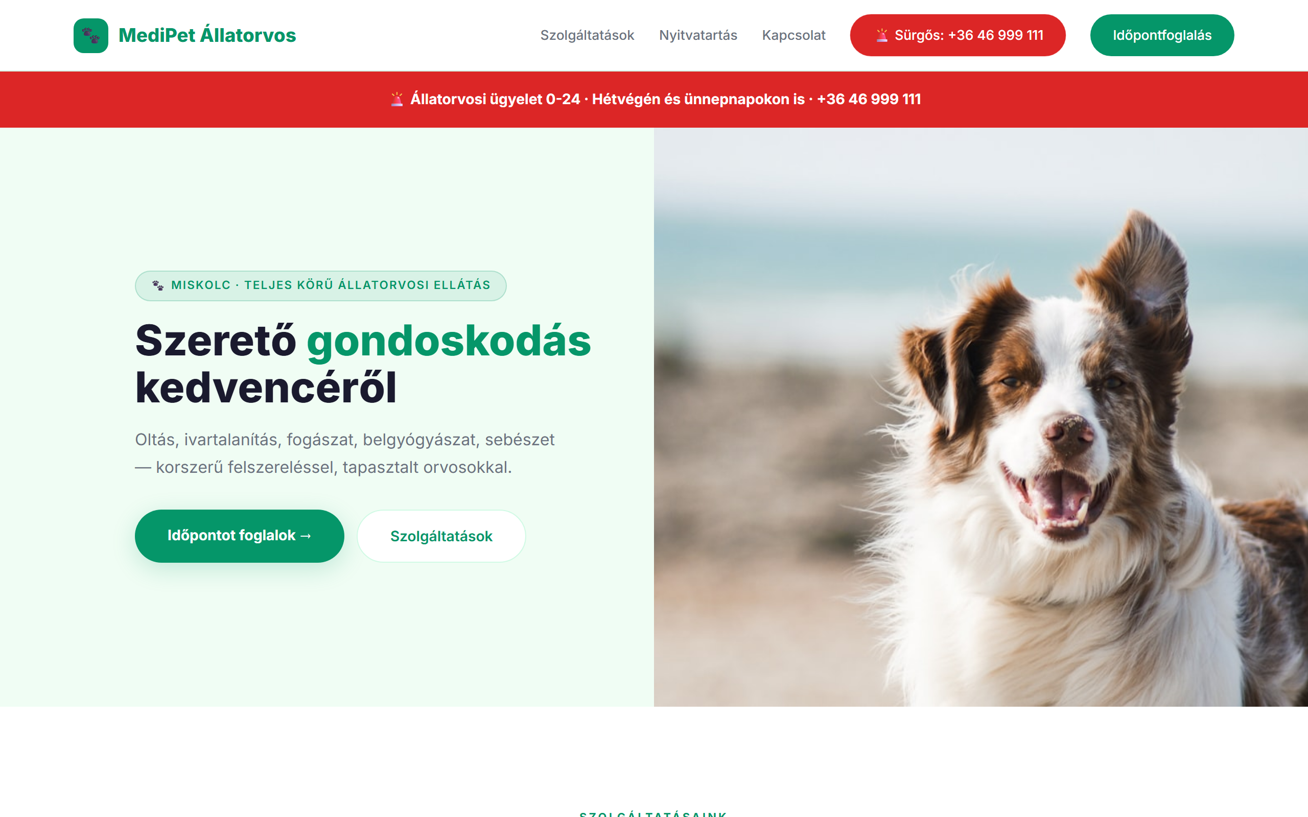 MediPet Állatorvos
